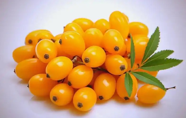Sea buckthorn Pulp Oil Cas No.: 90106-68-6