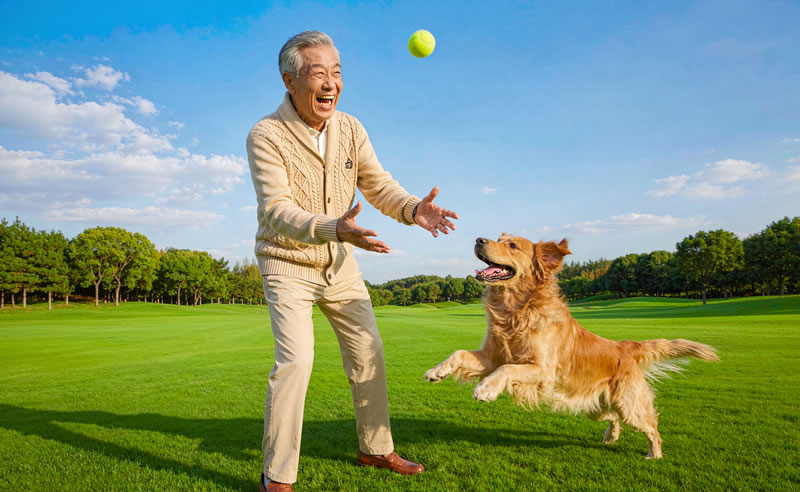 Joy with Pets
